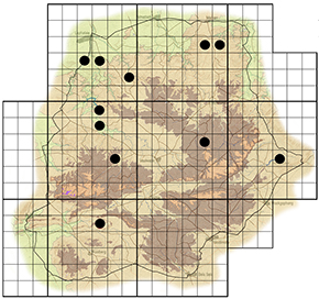Albizia brevifolia Waterberg distribution